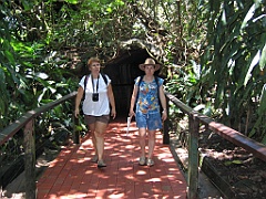 CairnsTC277 Wildlife Habitat